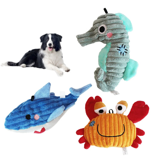 Cadeau voor hond en baas – Samen genieten