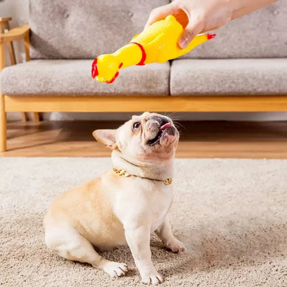 Kattenspeeltje met veerstaart – Onweerstaanbaar