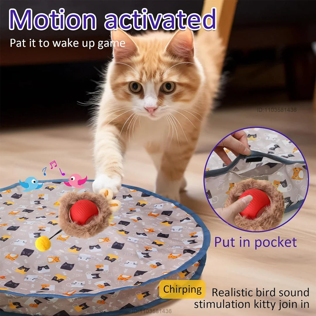 Katten speelgoed met licht – Voor nachtelijke jacht