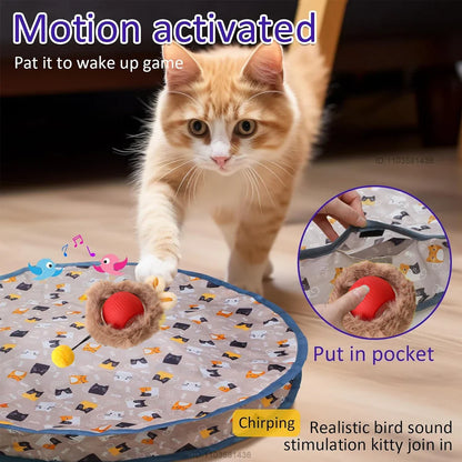 Katten speelgoed met licht – Voor nachtelijke jacht