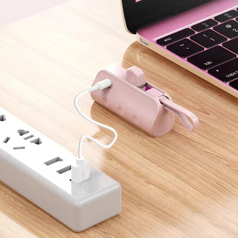 Powerbank met 3 laaduitgangen