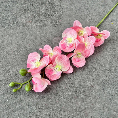Houten bordjes als quote decoratie tuin