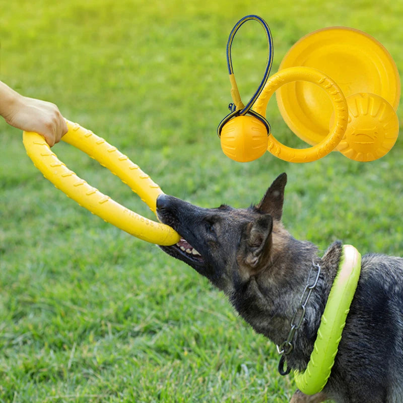 Cadeaubox hond – Ideaal voor elke gelegenheid