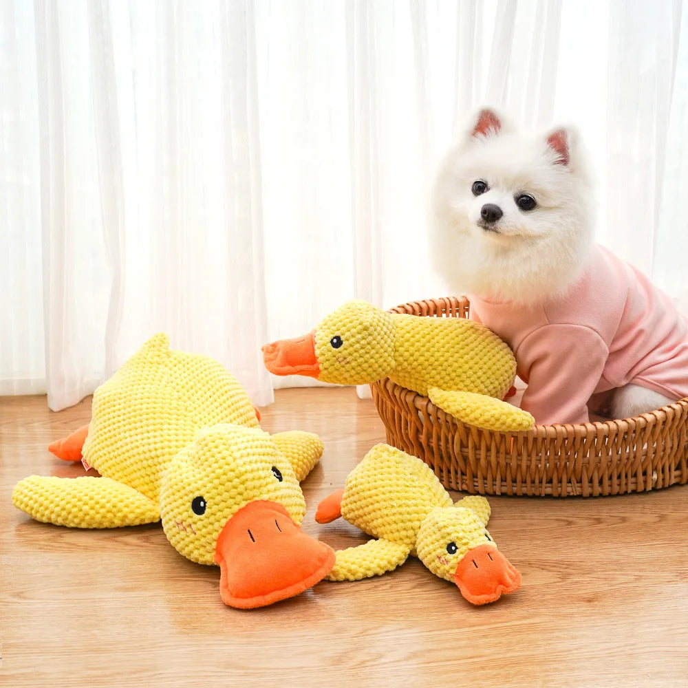 Cadeau voor honden en baasjes – Een dubbel plezier