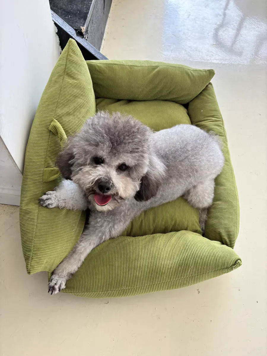 Action mand voor kleine hond – Goedkoop en handig
