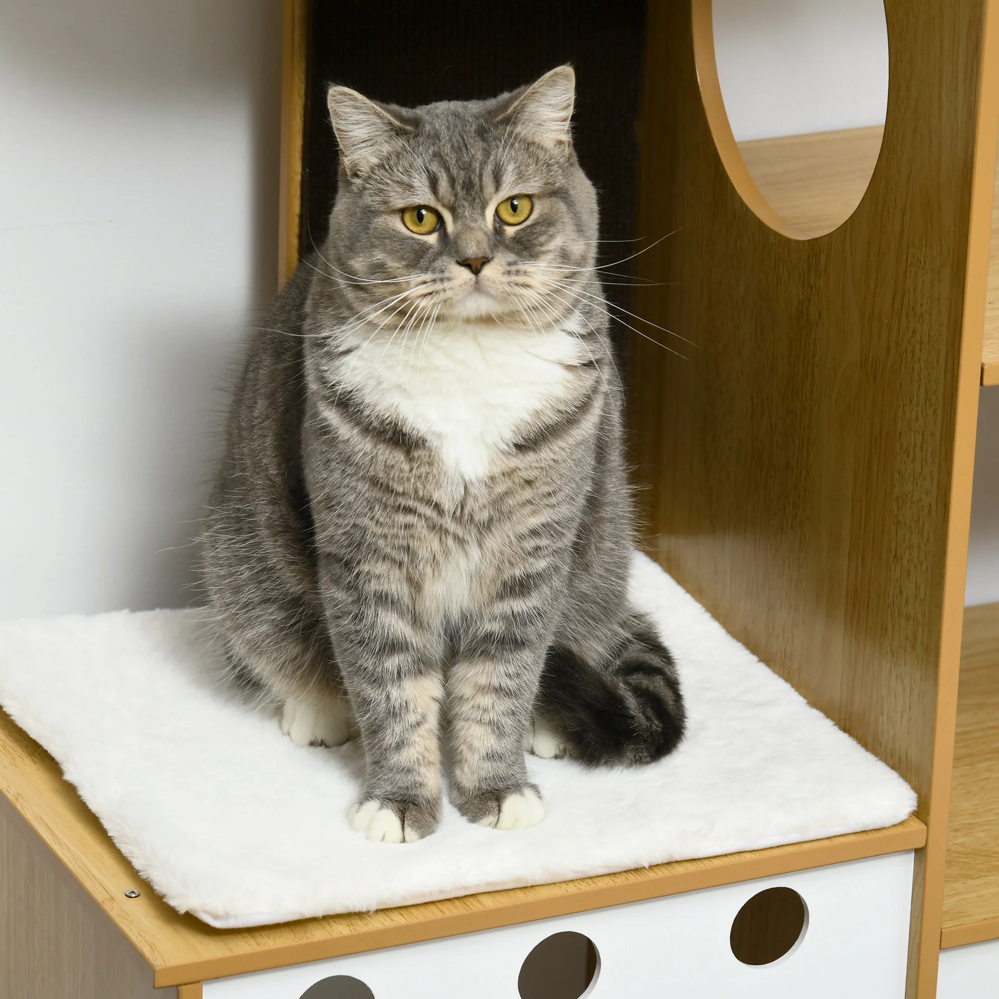 Kattenpaal design wandmodel – Ruimtebesparend en chic