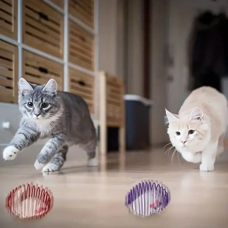 Kattenspeeltjes met verschillende texturen – Sensorisch spel