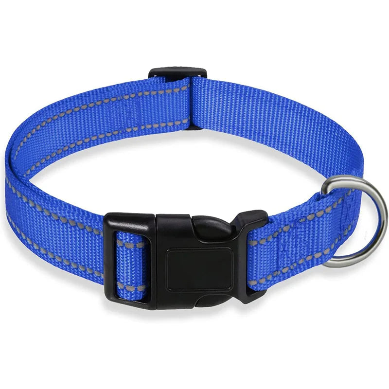 Luxe honden cadeau – Stijlvol en bijzonder