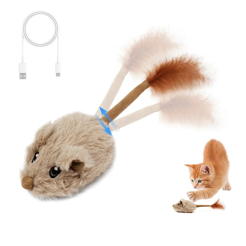 Kattenspeeltjes met bal en spoor – Rollercoaster effect