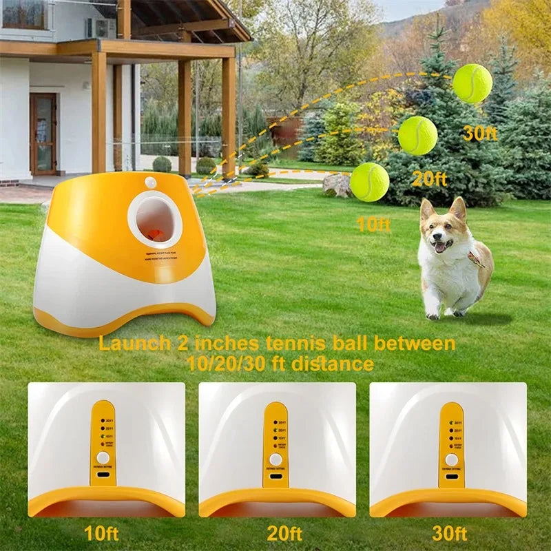 Kattenspeelgoed met sensor – Reageert op aanraking