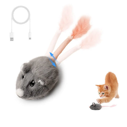 Leuk kattenspeeltje met LED – Visueel aantrekkelijk