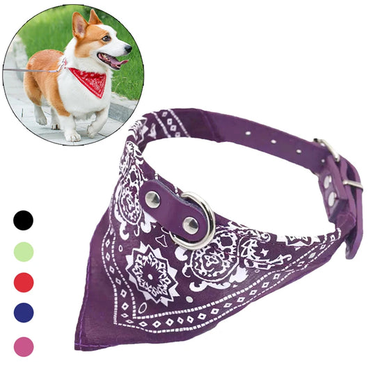 Honden tuigje met padding – Extra comfort voor de hond