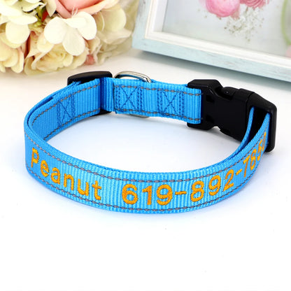 Samen cadeau voor hond en eigenaar – Verbonden plezier