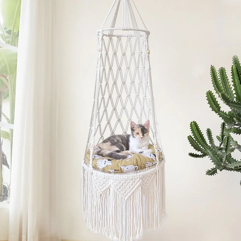 Budget kattenmand van Action – Simpel en effectief