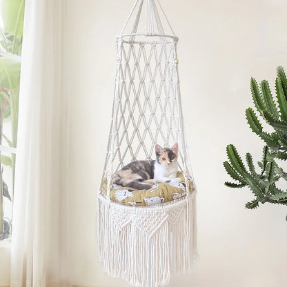 Budget kattenmand van Action – Simpel en effectief