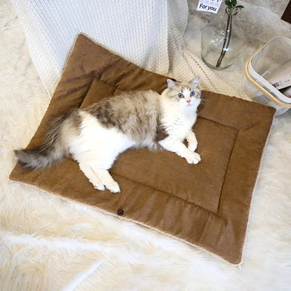 Kattenmand met opstaande rand – Voor extra geborgenheid