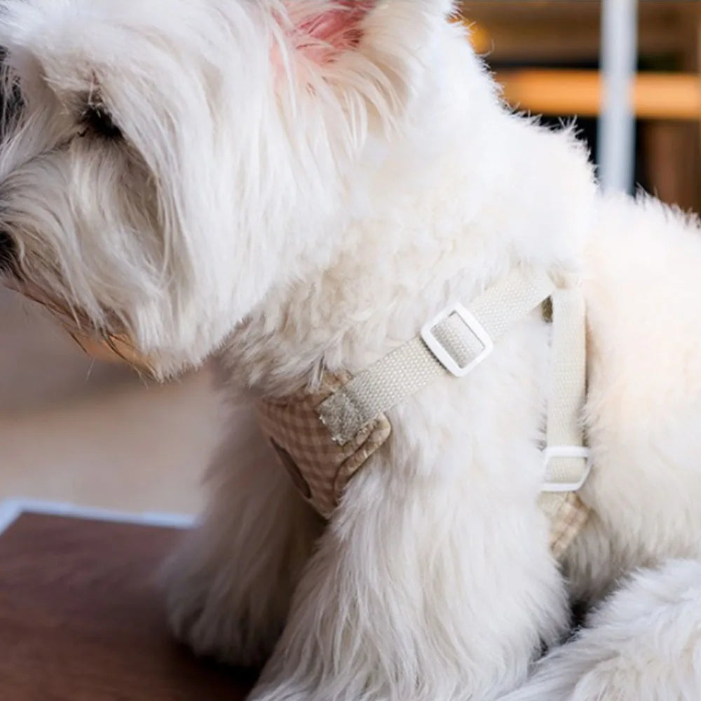 Tuigje hond met minimalistisch design – Licht en effectief