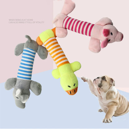 Cadeau voor hond en mens – Duo plezier