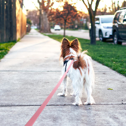 Honden tuigje met ademende stof – Geen oververhitting