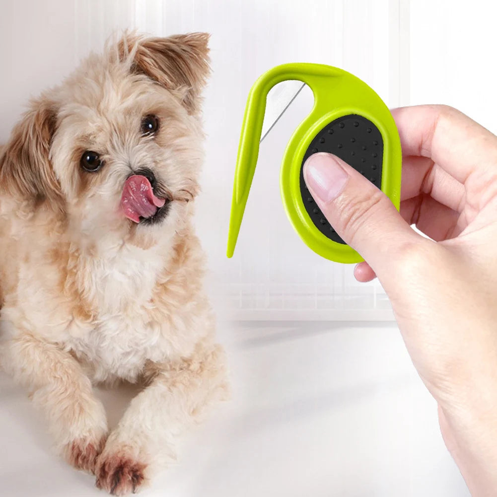 Feestdoos voor hond verjaardag – Alles in één