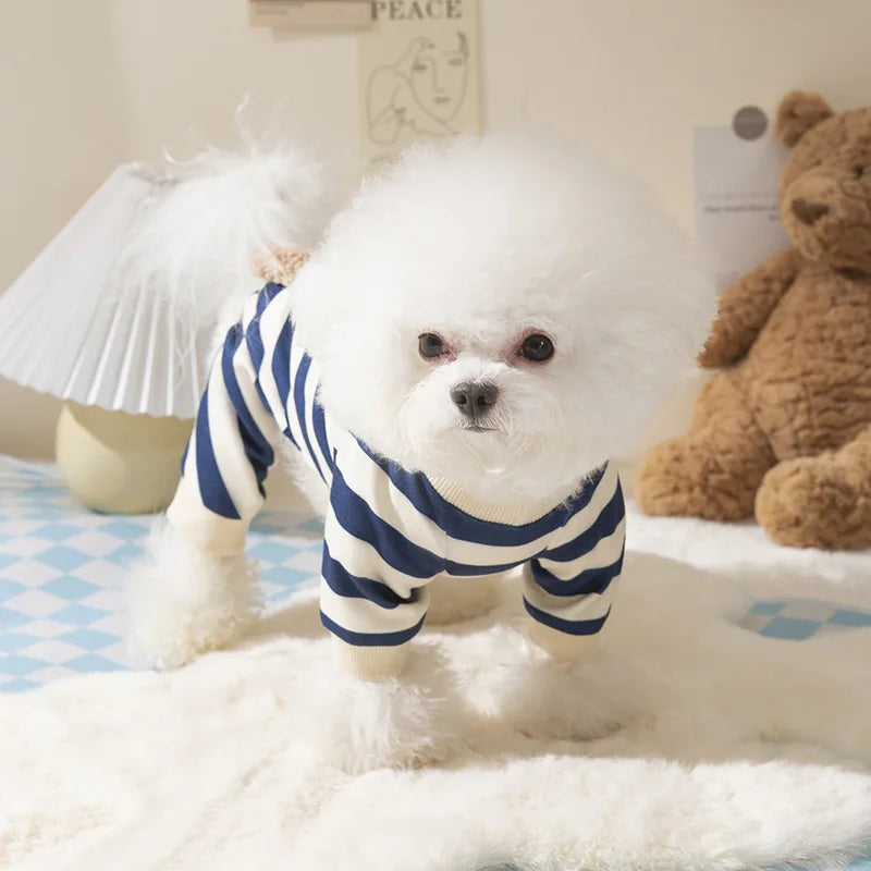 Cadeau hond met speeltjes – Spelen, bijten, genieten