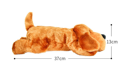 Cadeau voor hond en mens – Duo plezier