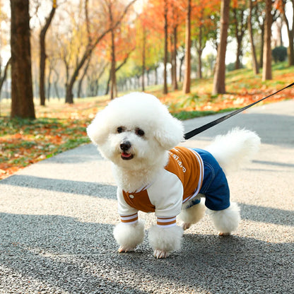 Verjaardagscadeau hond met naam – Gepersonaliseerd plezier