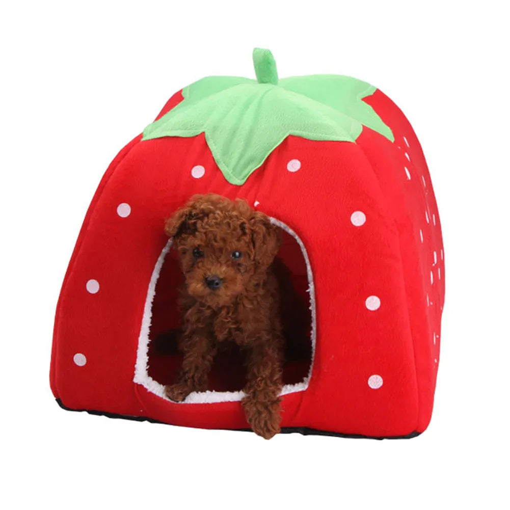 Hondenmand met lage instap – Voor kleine of oude honden