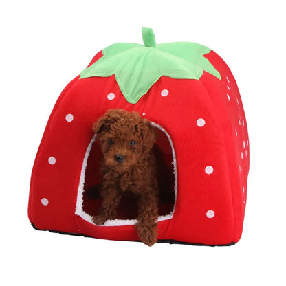 Hondenmand met lage instap – Voor kleine of oude honden