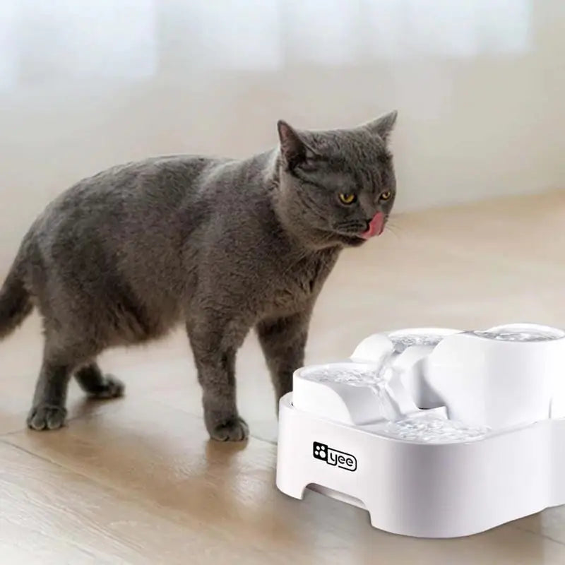 Waterfonteintje kat – Compact en stil