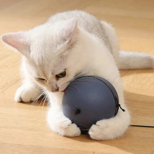 Leuk kattenspeeltje met LED – Visueel aantrekkelijk