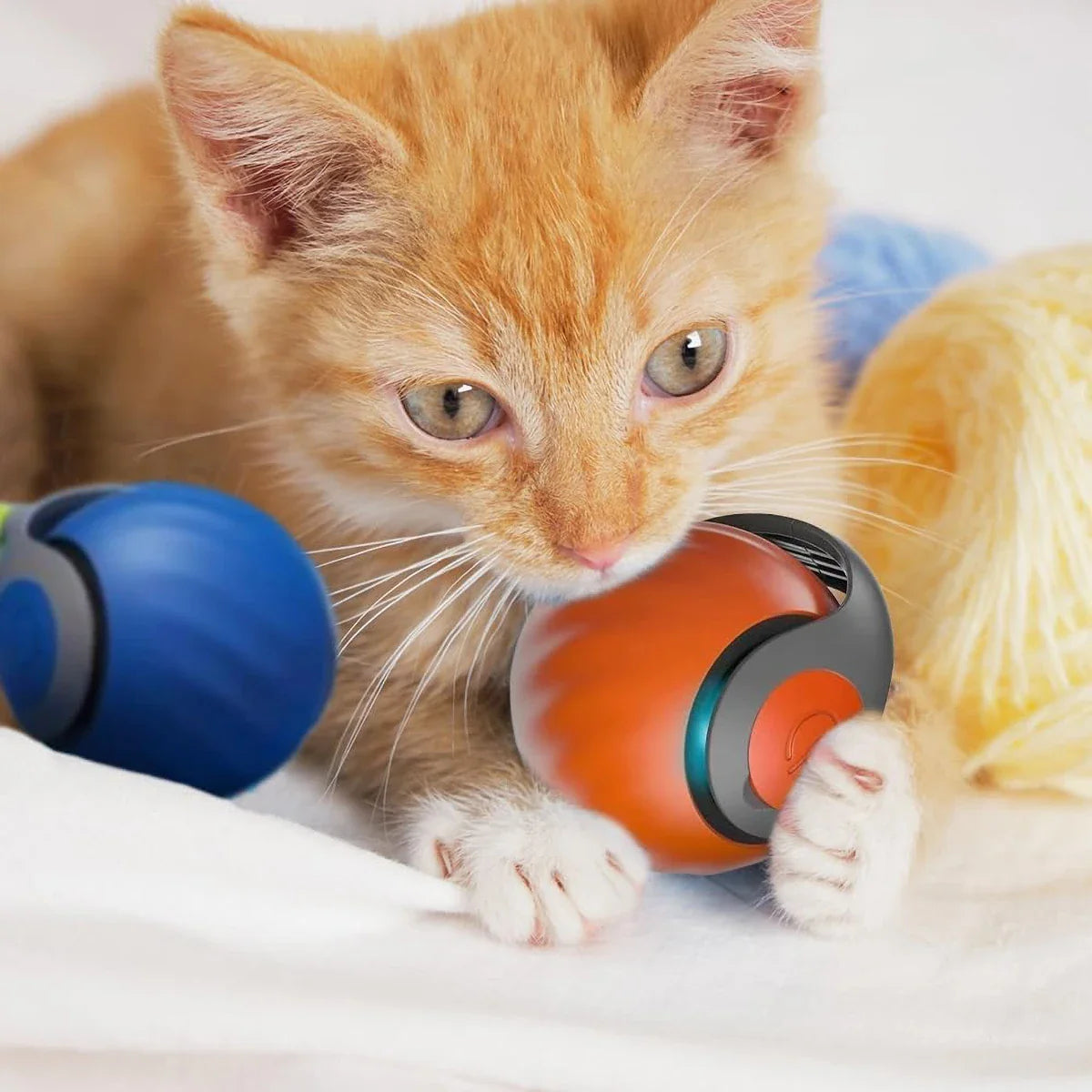 Leukste kattenspeeltje voor de feestdagen – Verrassend leuk