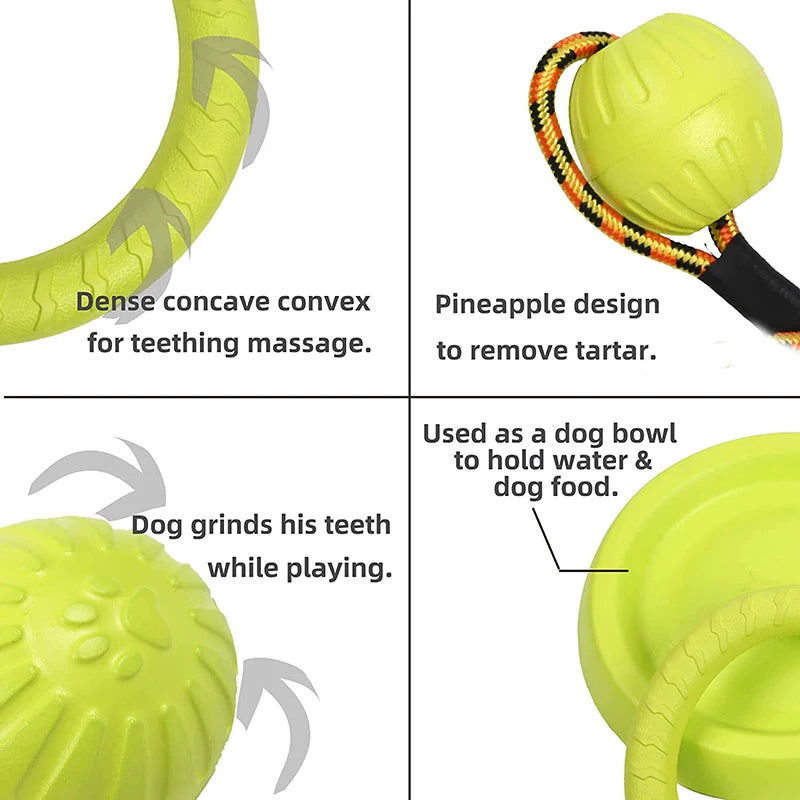 Samen cadeau voor hond en eigenaar – Verbonden plezier