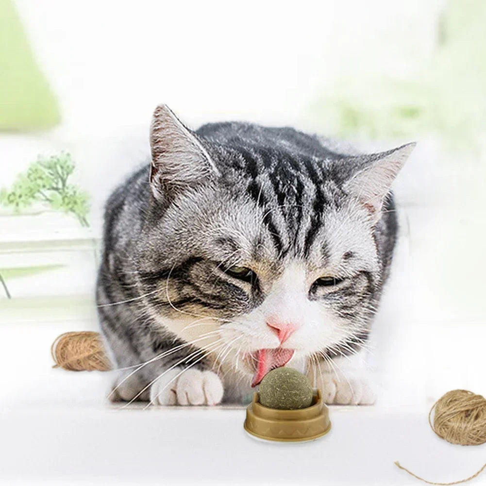 Kattenspeeltje voor interactief spel – Perfect voor samen spelen