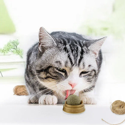Kattenspeeltje voor interactief spel – Perfect voor samen spelen
