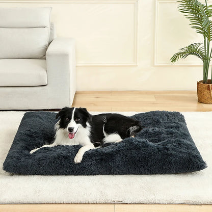 Origineel cadeau hond verjaardag – Creatief en uniek