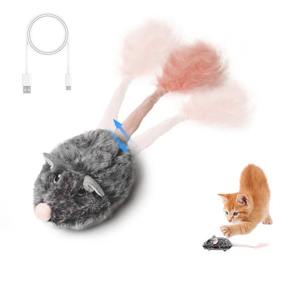 Actief kattenspeeltje met ratelend geluid – Altijd interessant