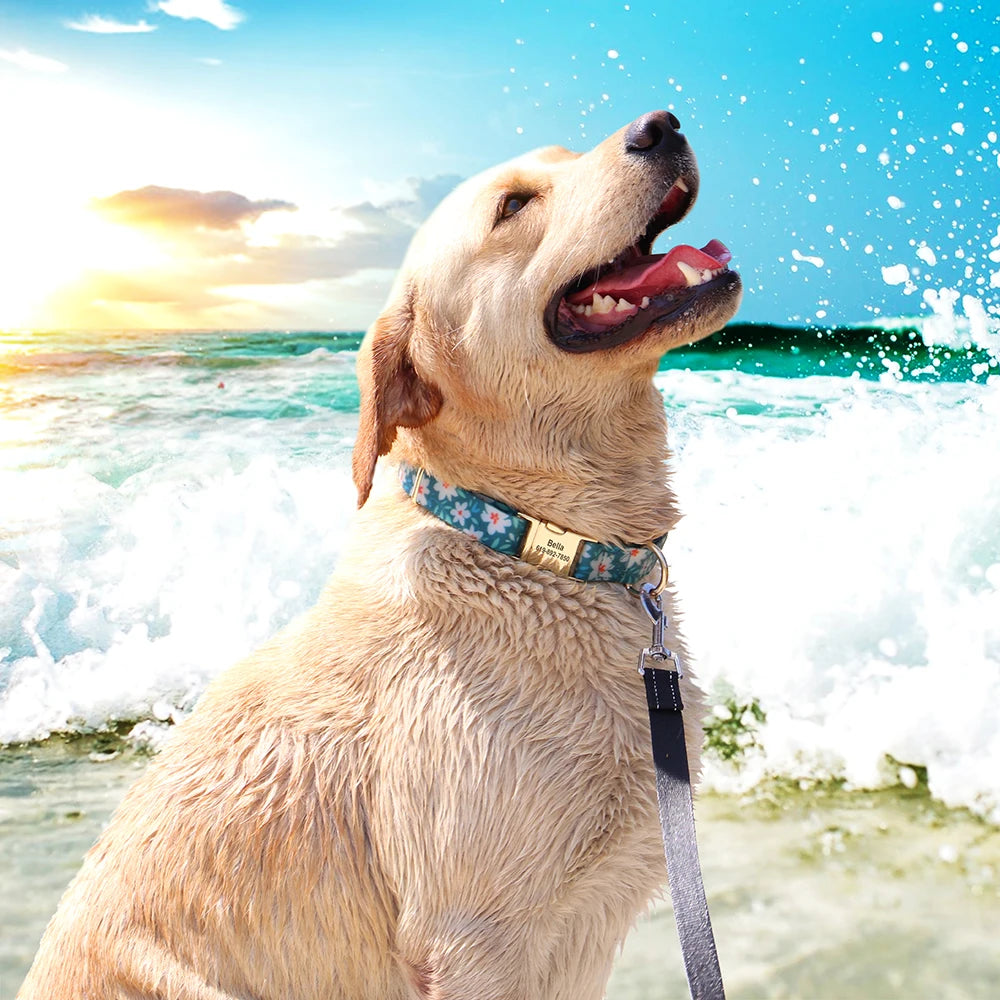 Action tuigje voor hond met klittenband – Makkelijk aan te trekken