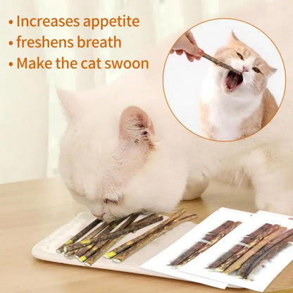 Leuk kattenspeeltje voor jachttraining – Slim en actief