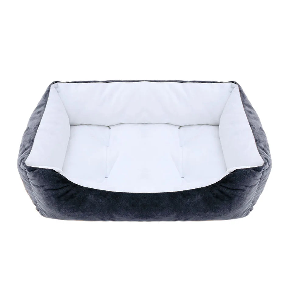 Kattenmand van Action met leuke print – Betaalbare stijl
