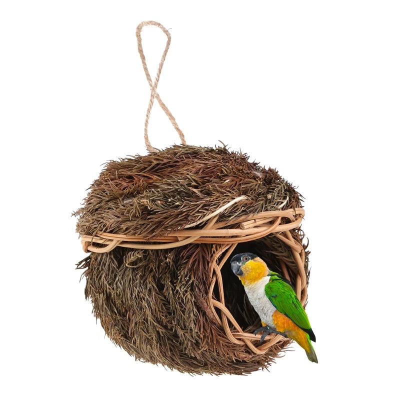 Intratuin vogelhuisje met platte bodem – Eenvoudig te monteren