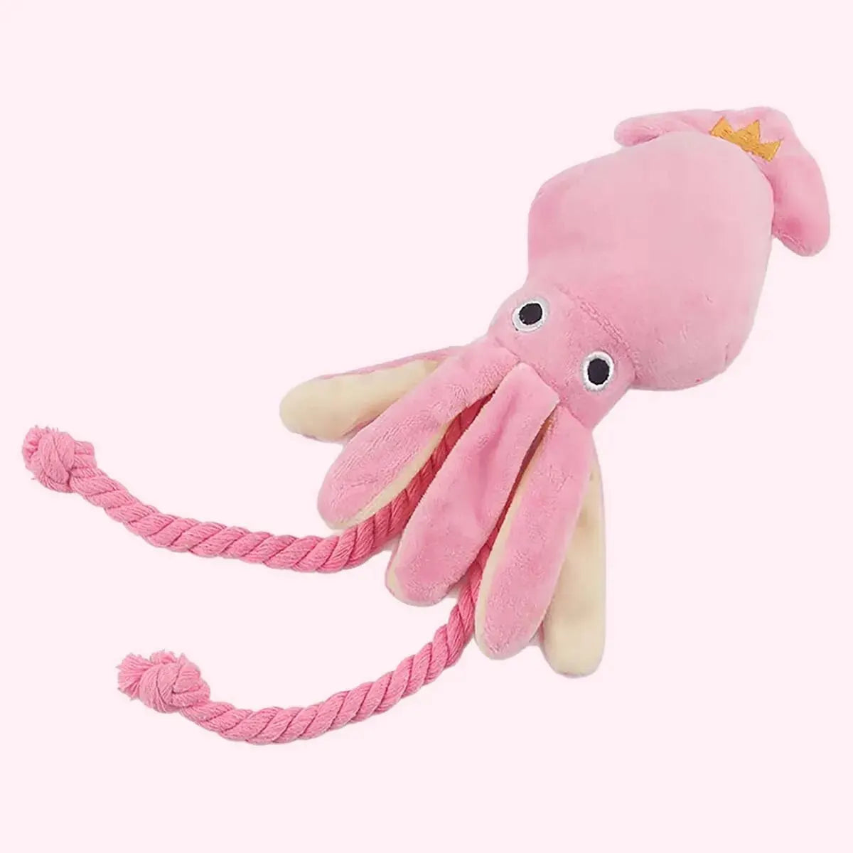 Puppy cadeau verjaardag – Veilig en vrolijk