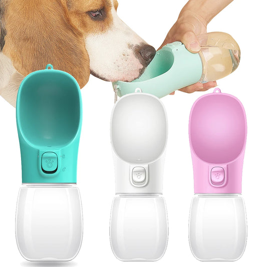 Cadeau hond verjaardagset – Compleet met feestmuts