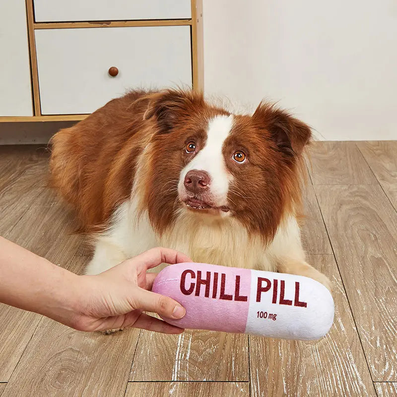 Cadeaupakket hond met speeltouw – Voor uren speelplezier