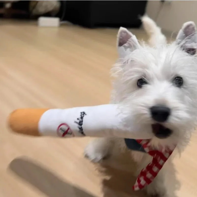 Cadeau hond en baasje set – Samen in stijl