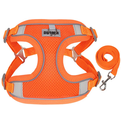 Tuigje Action maat S – Voor kleine rassen en puppy's