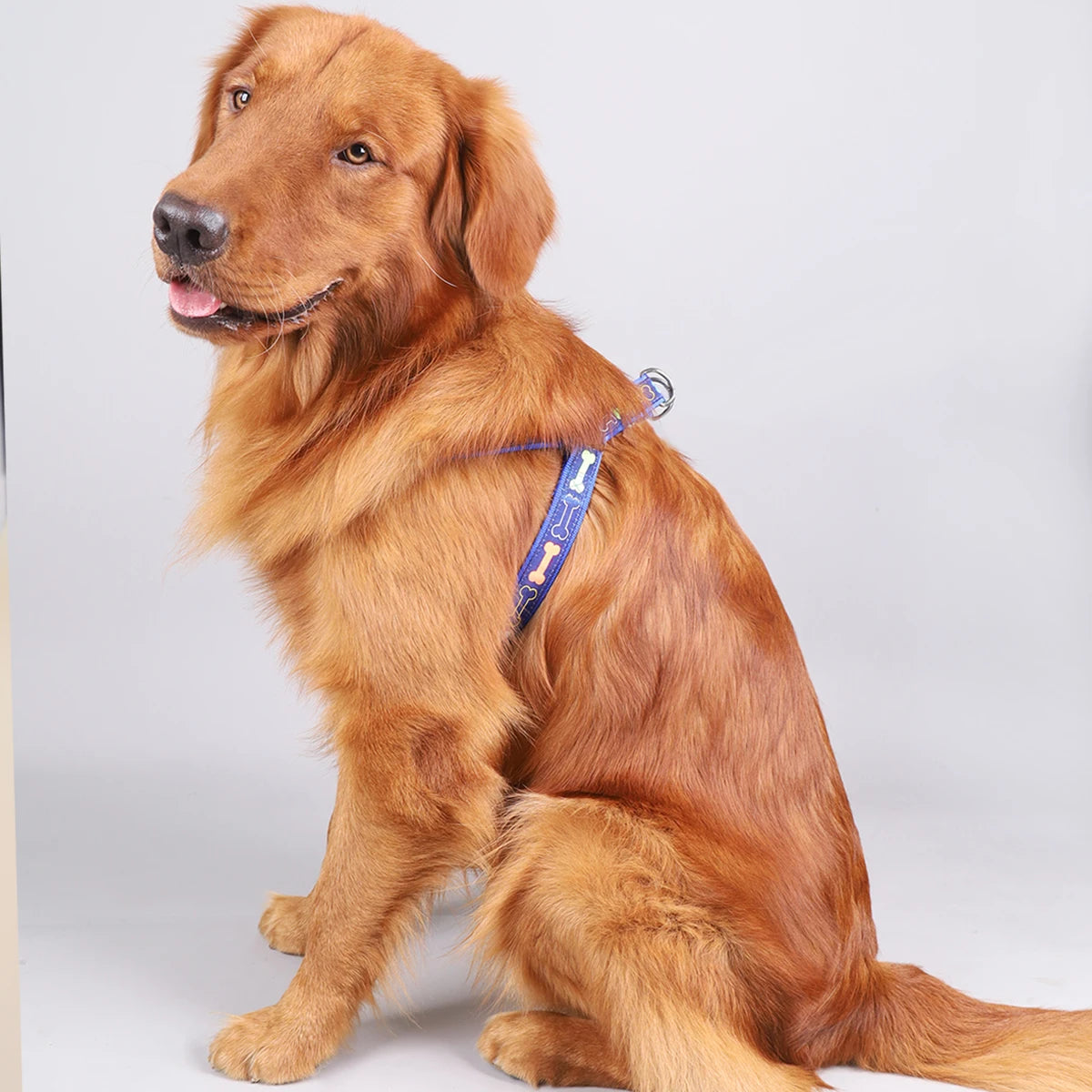Honden tuigje met camouflage print – Stoere look