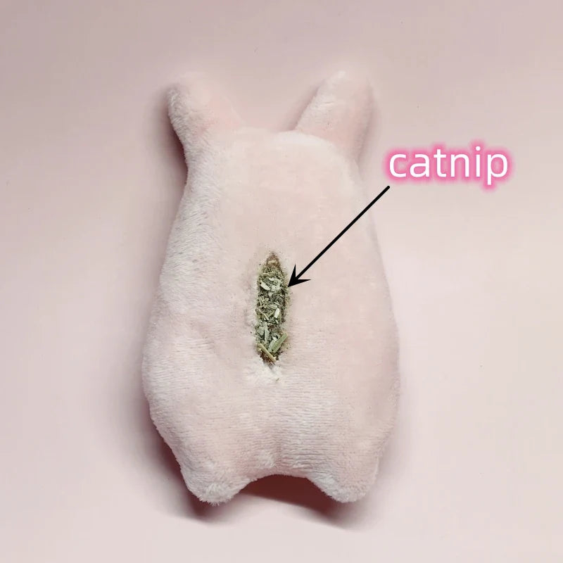 Kattenspeeltje aan stokje – Samen interactief spelen