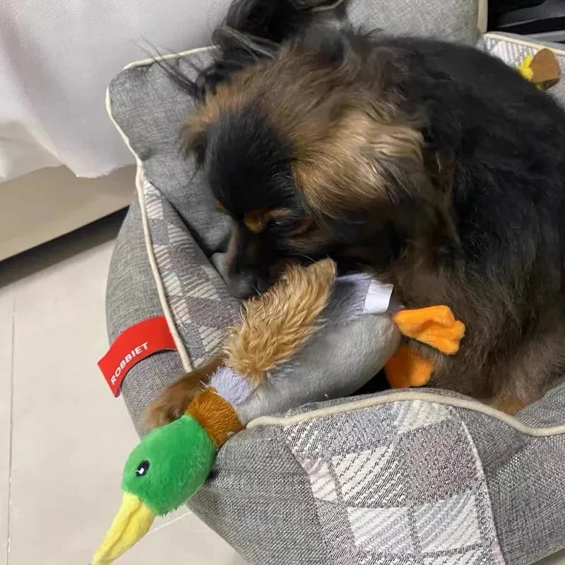 Cadeau hond gepersonaliseerd – Met liefde gekozen