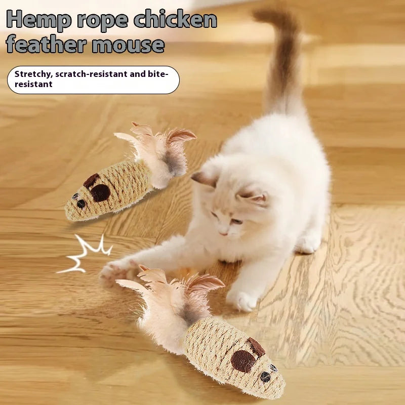 Kattenspeeltjes met elastische band – Voor extra actie